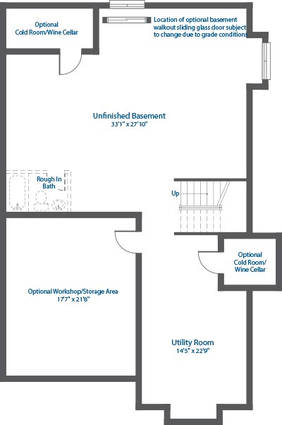 Basement Floor of Aurora models.