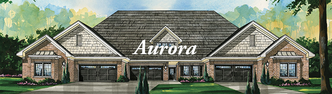 Artist rendering of The Aurora